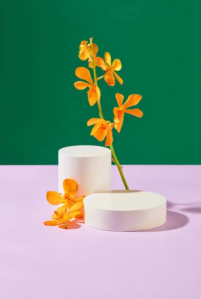 Een Tak Van Verse Oranje Bloemen Wordt Geplaatst Naast Twee — Stockfoto