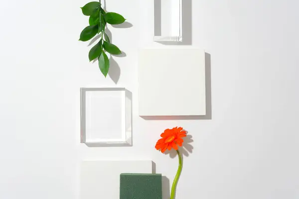 2つの透明なガラスプラットフォーム 2つのホワイトプラットフォーム ダークグリーンプラットフォーム 緑の葉 そして細菌の花が白い背景に配置されています 広告スペース — ストック写真