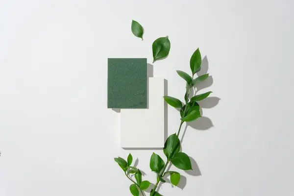 Dark Green Podium White Podium Green Leaves Placed Minimalist White — Stock Photo, Image