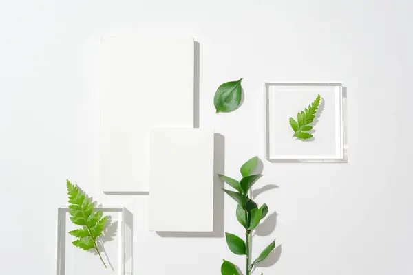 Two White Podiums Two Transparent Glass Podiums Decorated Green Leaves — Stock Photo, Image