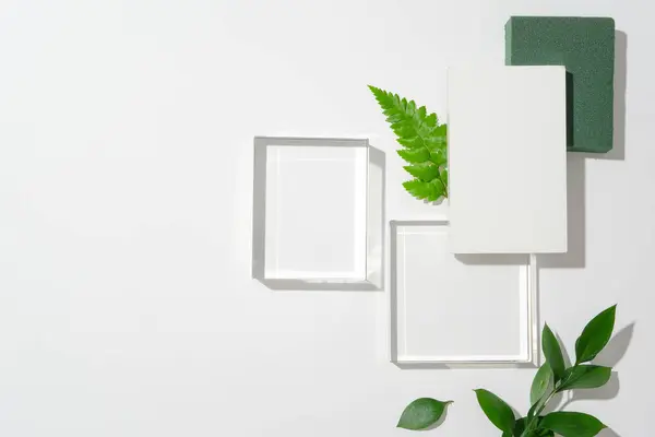 きれいな白い背景に緑の葉のタッチが付いている現実的なガラス シリンダー台紙 抽象的なベクトル幾何学形態を特徴とするモックアップ製品のステージングとショーケースのためのミニマリストシーン — ストック写真