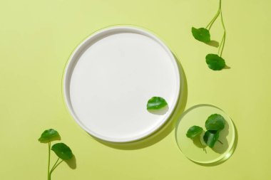 Pennywort yaprakları cam bir platformda ve beyaz bir seramik tabakta. Pennywort içeren ürünler kullanmak yara izlerinin kaybolmasına ve cildin parlamasına yardımcı olabilir..
