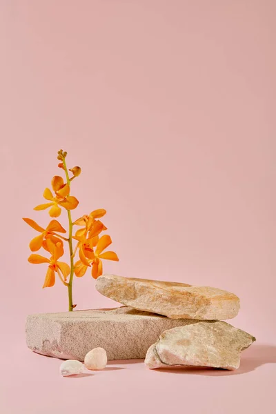 Een Oranje Bloemtak Stenen Platformen Vallen Tegen Een Pastelroze Achtergrond — Stockfoto