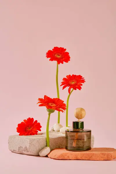 Czerwone Gerbery Kwiaty Dyfuzory Olejków Eterycznych Wyświetlane Kamiennej Platformie Delikatnym — Zdjęcie stockowe