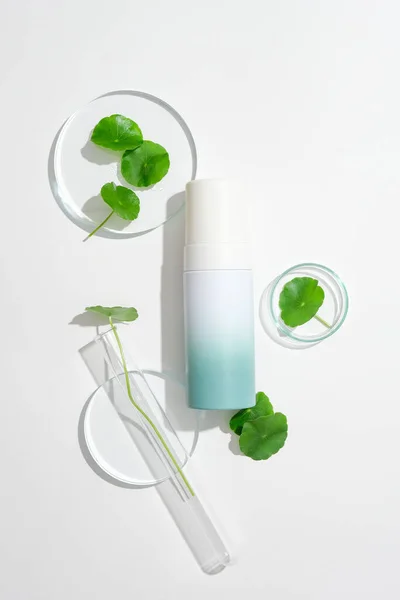 白い背景に透明なペトリ皿の上に置かれたラベルとペニーワットの葉のない化粧品ボトル 化粧品の生産のためのセンテラエキス — ストック写真