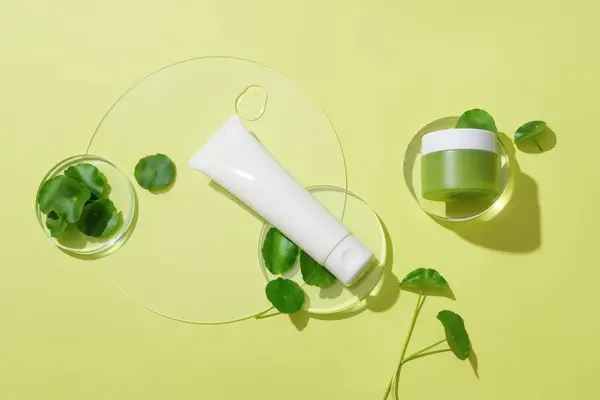 Unlabeled Cosmetics Set Fresh Pennywort Transparent Glass Platforms Displayed Background — Stock Photo, Image