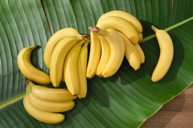 Yeşil muz yaprağına dizilmiş sarı muz demetleri. Muz (Musaceae) sağlıklı bir cilde sahip olmak için birçok besin içerir.