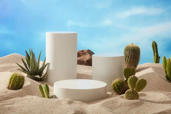 Natural Landscape Cylinder Podiums Placed Sand Types Cactus Background Blue — Stock Photo, Image