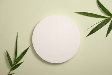 Boş minimalist boş vitrin şablonu. Açık yeşil zemin üzerine bambu yapraklarıyla yerleştirilmiş yuvarlak beyaz bir podyum. Ürününüzü asgari konseptle sergilemek için sahne. Üst görünüm