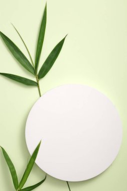 Yeşil arka planda yeşil bambu yapraklarıyla gösterilen yuvarlak beyaz podyumun üst görüntüsü. Ürün markası sunumu için minimalist tarzda soyut bir arkaplan. Doğal konsept