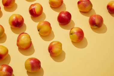 Sarı zemin üzerinde olgun şeftali (prunus persica) ve metin veya tasarım için boş alan üzerinde düz kompozisyon yatıyordu. Düzenli olarak şeftali yemek kalp sağlığını geliştirebilir.