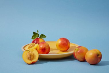 Mavi arka planda, taze olgun şeftali (prunus persica) yuvarlak sarı bir tabakla süslenir. Düzenli olarak şeftali tüketimi anemi riskini azaltabilir ve kalp sağlığını iyileştirebilir