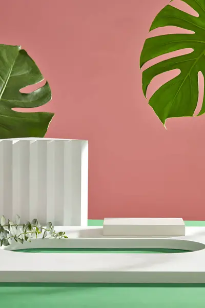 Creative Concept Minimalism Leaf Plaster Podium Blank Space White Podiums — Stock Photo, Image