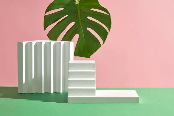 Monstera Planta Folhas Exibidas Fundo Rosa Com Escada Branca Pódio — Fotografia de Stock