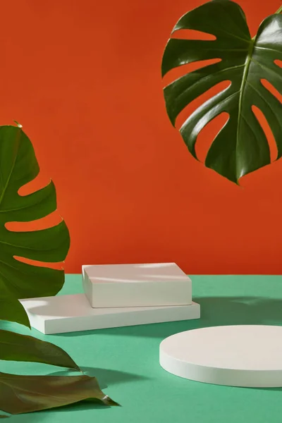 製品ブランドプレゼンテーションのためのミニマリストスタイルの抽象的な背景 ジャングルモンステラの葉でオレンジ色の背景に配置されたホワイト幾何学表彰台 フロントビュー デザインを配置する空白スペース — ストック写真