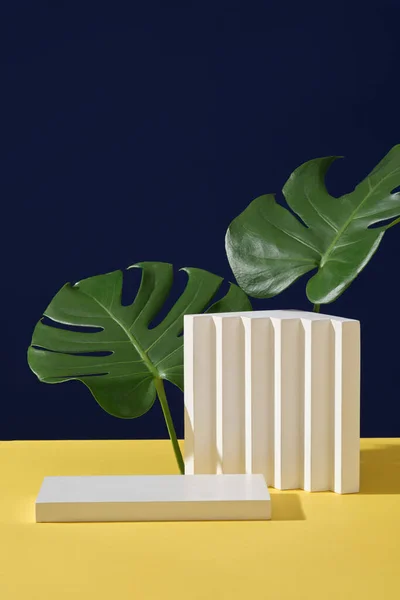 Minimaler Stil Werbefoto Mit Weißem Podium Treppe Und Frischen Dschungelmonsterblättern — Stockfoto