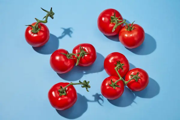 青い背景にランダムに配置された赤い熟した新鮮なトマトのトップビュー トマト成分を用いた広告用ミニマルシーン — ストック写真