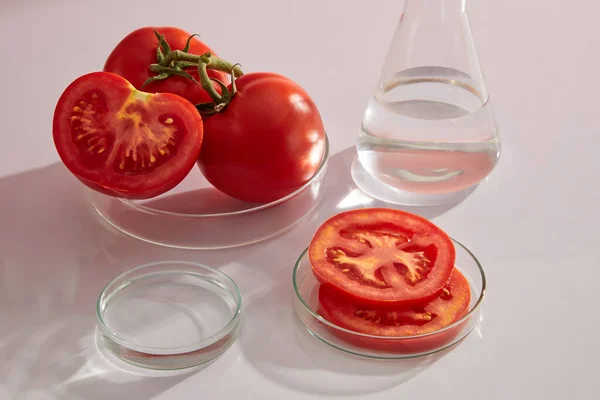 Färsk Tomat Och Tomat Skivad Petriskål Visas Vit Bakgrund Med — Stockfoto