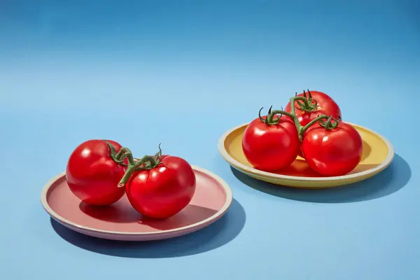 トマト抽出物の化粧品を広告するためのシーン 青い背景に赤い新鮮なトマトを含む丸められたメッキ トマトは健康に良い栄養素をたくさん持っています — ストック写真