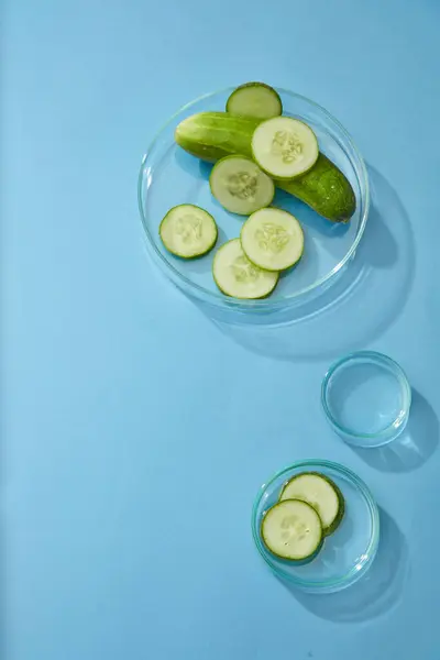 Scene Advertising Cosmetic Ingredient Cucumber Fresh Cucumber Slices Petri Dish — Stock Photo, Image