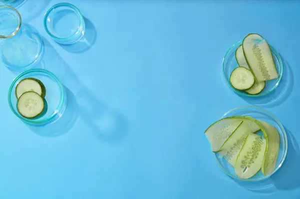 Top View Fresh Cucumber Slices Decorated Blue Background Lab Glassware — Stock Photo, Image