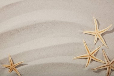 Yaz tatili ve deniz yıldızları ve bej rengi kum dalgalarıyla güzellik ve kum modeli. Üst görünüm ve kopyalama alanı