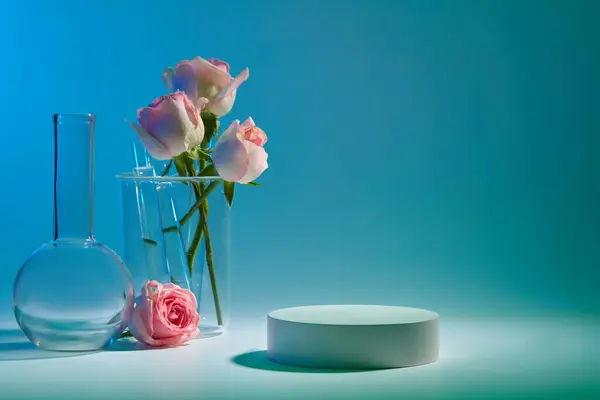 Minimal scene for cosmetic product of rose extract presentation. An empty podium, boiling flask and beaker decorated with fresh roses on color background. Blank space to placed your mockup