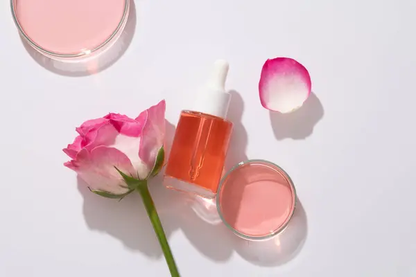 平面放置化妆品模型与玻璃瓶和滴水盖包含粉红液体 新鲜的玫瑰和培养皿充满精华素的白色背景 广告照片 复制空间 — 图库照片