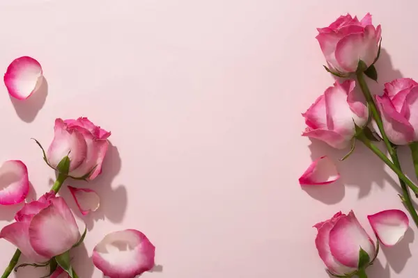 新鲜的玫瑰装饰在粉红的背景上 中间是空白的空间 文字空间 设计卡片或横幅用美丽花朵的框架 — 图库照片
