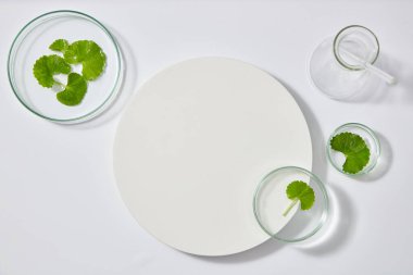 Beyaz arka plandaki yuvarlak beyaz podyumun üst görüntüsü ve içinde taze gotik kola yaprakları bulunan laboratuvar camları. En az boş ürün sunum sahnesi