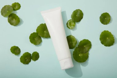 Gotik malzeme sunumundan kozmetik için minimum sahne - mavi arka planda gotik kola yapraklarıyla süslenmiş beyaz plastik tüp. Kozmetik içindeki doğal özüt cilt için iyidir.