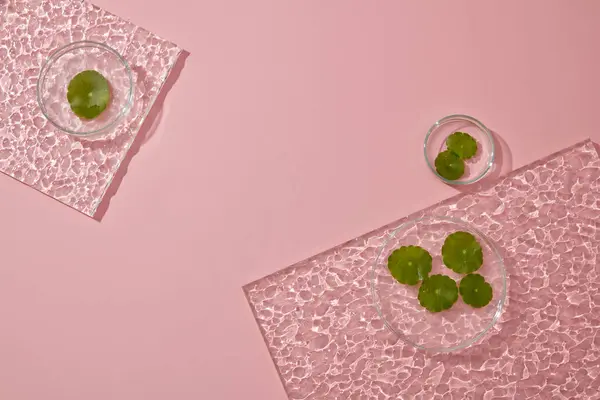 Tło Prezentacji Produktów Kosmetycznych Talerze Petriego Arkusz Akrylowy Zdobione Różowym — Zdjęcie stockowe