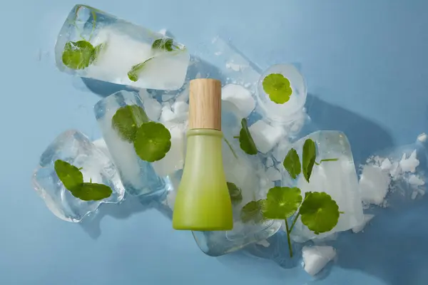 在冰冻的哥图科拉上涂上天然化妆品 在蓝色的背景上涂上冰块 有空白标签的绿色瓶子 展示你的设计 — 图库照片