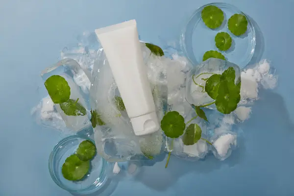Branco Plástico Recipiente Loção Creme Limpador Decorado Com Folhas Gotu — Fotografia de Stock