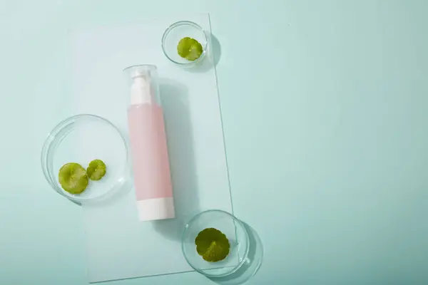 パステルブルーのバックグラウンドにペトリ皿に表示された新鮮なゴツラの葉を含む化粧品ボトル容器 ブランディング製品 化粧品包装のための最小限のシーン — ストック写真