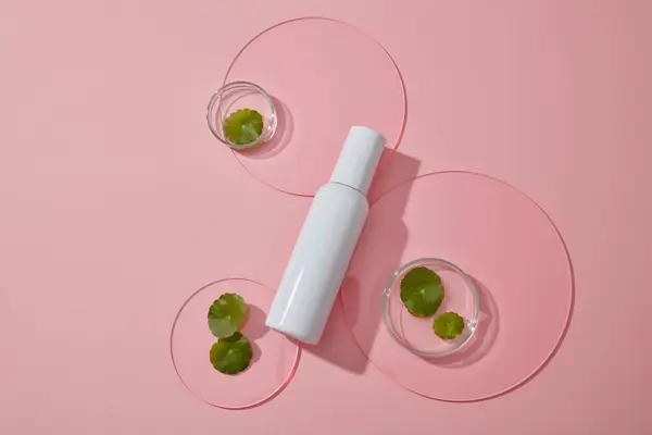 顶部的白色瓶子展示在粉红色的背景与Gotu科拉在Petri盘和丙烯酸片 品牌造型用空白标签 Gotu Kola提取物 护肤美容产品概念 — 图库照片