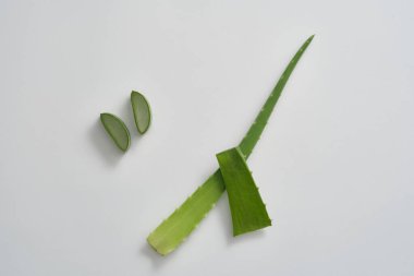Beyaz arka planda izole edilmiş taze aloe vera yaprakları ve dilimler. Aloe Vera 'nın birçok sağlık ve güzellik avantajı var. Aloe vera jeli su sağlar, nemi tazeler ve deriyi nemlendirir..