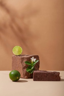 Koyu taş podyumları, kireç parçaları ve kahverengi arka planda doğal gölge yaprakları olan küçük çiçek dalları olan ürün sunumu için minimal stil. Kozmetik kireç özünü göstermek için boşluk