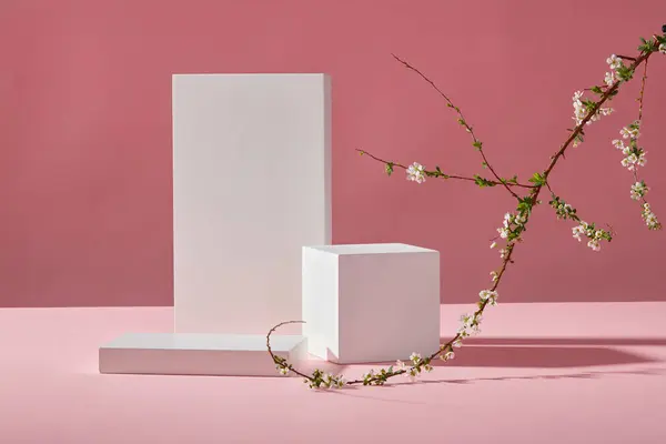 抽象的なミニマルシーン 白い空の表彰台 2つの幾何学とトレンディなピンクの背景と花の影に白い花の枝 ディスプレイ製品のスペース フロントビュー — ストック写真