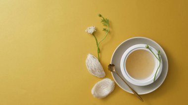 Kuş yuvası ürününün reklam sahnesi. Kurumuş kuş yuvası ve sarı arka planda bir kupa kuş yuvası. Geleneksel Çin tıbbı için ham madde. Metin ve tasarım için boşluk.