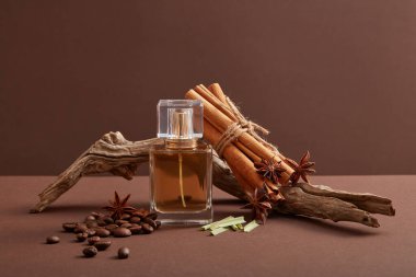 Tarçın çubukları, anason, kahve ve koyu arkaplanda kuru dallarla dolu boş parfüm şişesinin önü. Doğal aroma özütünün üretimi için model sahnesi. Sağlıklı bitkiler.