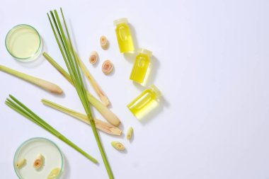 Beyaz arka planda gerekli yağları içeren taze limon otu, şişe ve petri kabıyla çerçevelenmiş. Kozmetik için reklam fotoğrafı ya da limon otu esansı. Metin için boşluk.