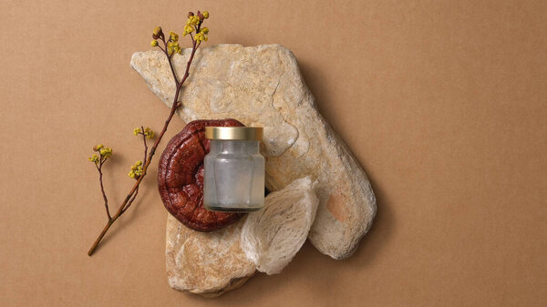 Scene mockup for product with bird's nest water bottle and red reishi mushroom (Ganoderma lucidum) put on stones, on brown background. A luxury food from nature. Top view, flat lay.