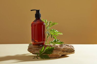 Kupa otu özünün kozmetik ürünü için maket sahnesi. Kahverengi boş şişe ve kahverengi arka planda, taşın üzerine yerleştirilmiş taze fincan otu dalı. Ürün markalaşma sunumu için en düşük biçim