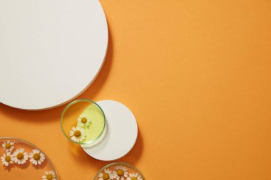 Petri kabında taze ve esanslı tanasetum partenyumun üst görüntüsü, turuncu arka planda duran boş beyaz platformlar. Kozmetik ürünleri sergilemek için boş podyum. Metin ve tasarım için boşluk.