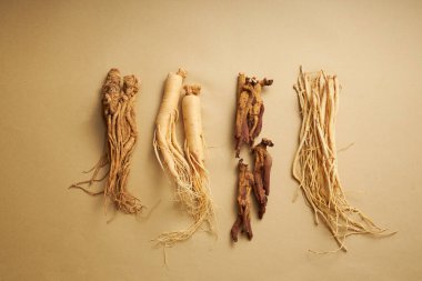Kahverengi arka planda 4 farklı tipte ginseng sahneleri vardır: Angelica sinensis, ginseng kökü, kırmızı ginseng kökü ve kodonopsis pilosula. Geleneksel Çin bitkileri