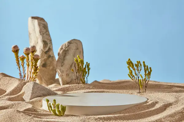 白い砂の上に白い円形の表彰台 青い空の背景に小さな緑の木と岩があります 砂漠の自然のシーンをシミュレートする 化粧品や製品プレゼンテーションのための最小限の背景 — ストック写真