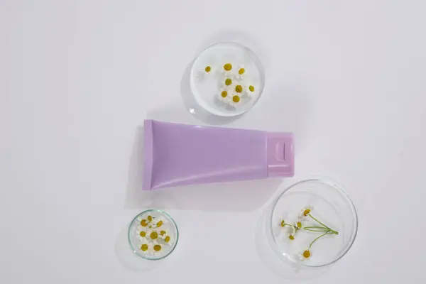 Plastica Vuota Viola Matricaria Camomilla Decorata Nella Capsula Petri Sfondo — Foto Stock