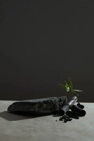 竹炭和绿叶的前景色 黑色的石头变成空的产品 最低限度概念 — 图库照片