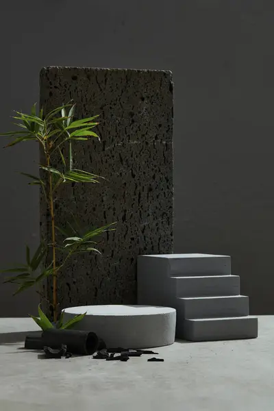 Вид Спереди Пустой Подиум Показа Продукции Бамбуковые Листья Бамбуковый Уголь — стоковое фото